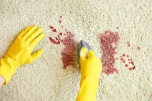 This photo shows someone performing red stain removal from carpet in their home